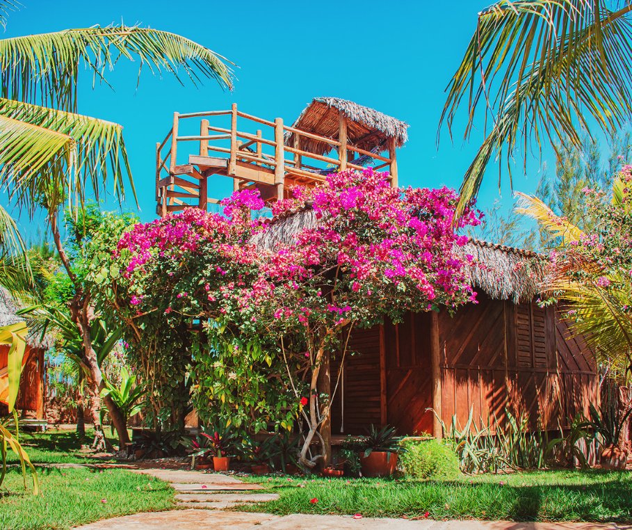Bangalô Vida – exterior com mirante panorâmico e bougainvillea florida